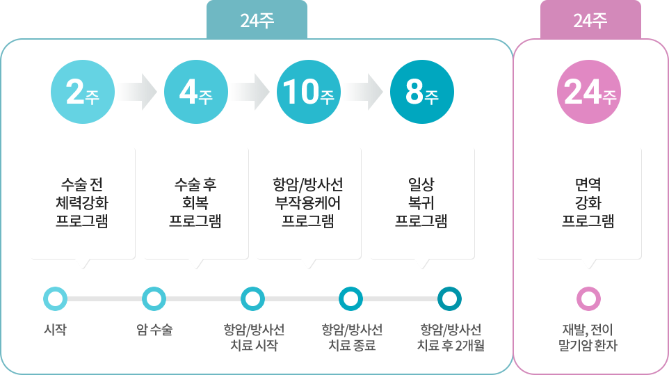 24주 프로그램